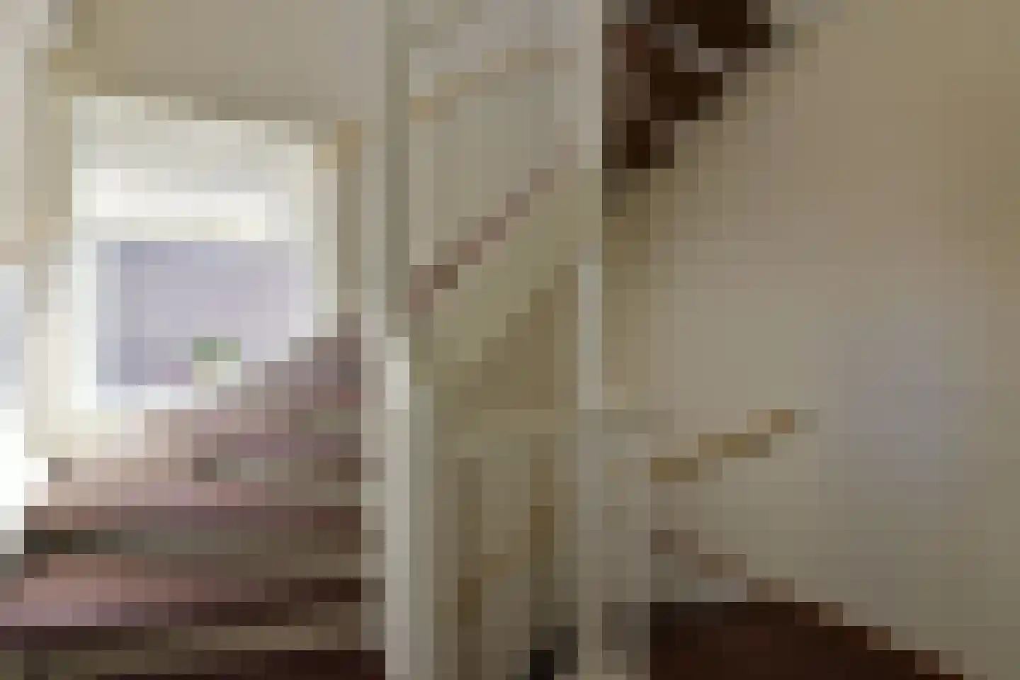 Witte Dam 61 Westwoud thumbnail 26