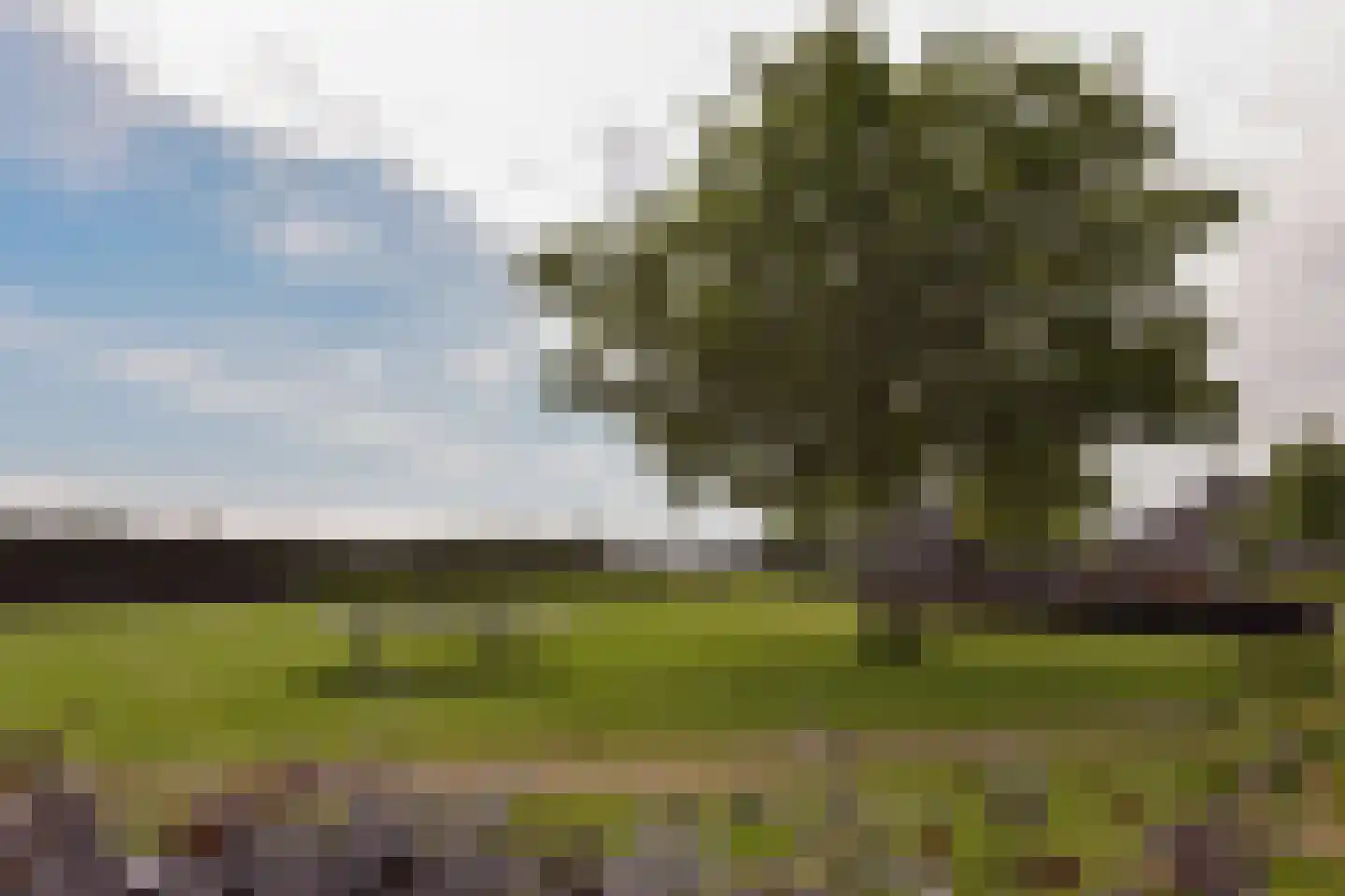 Witte Dam 61 Westwoud thumbnail 40