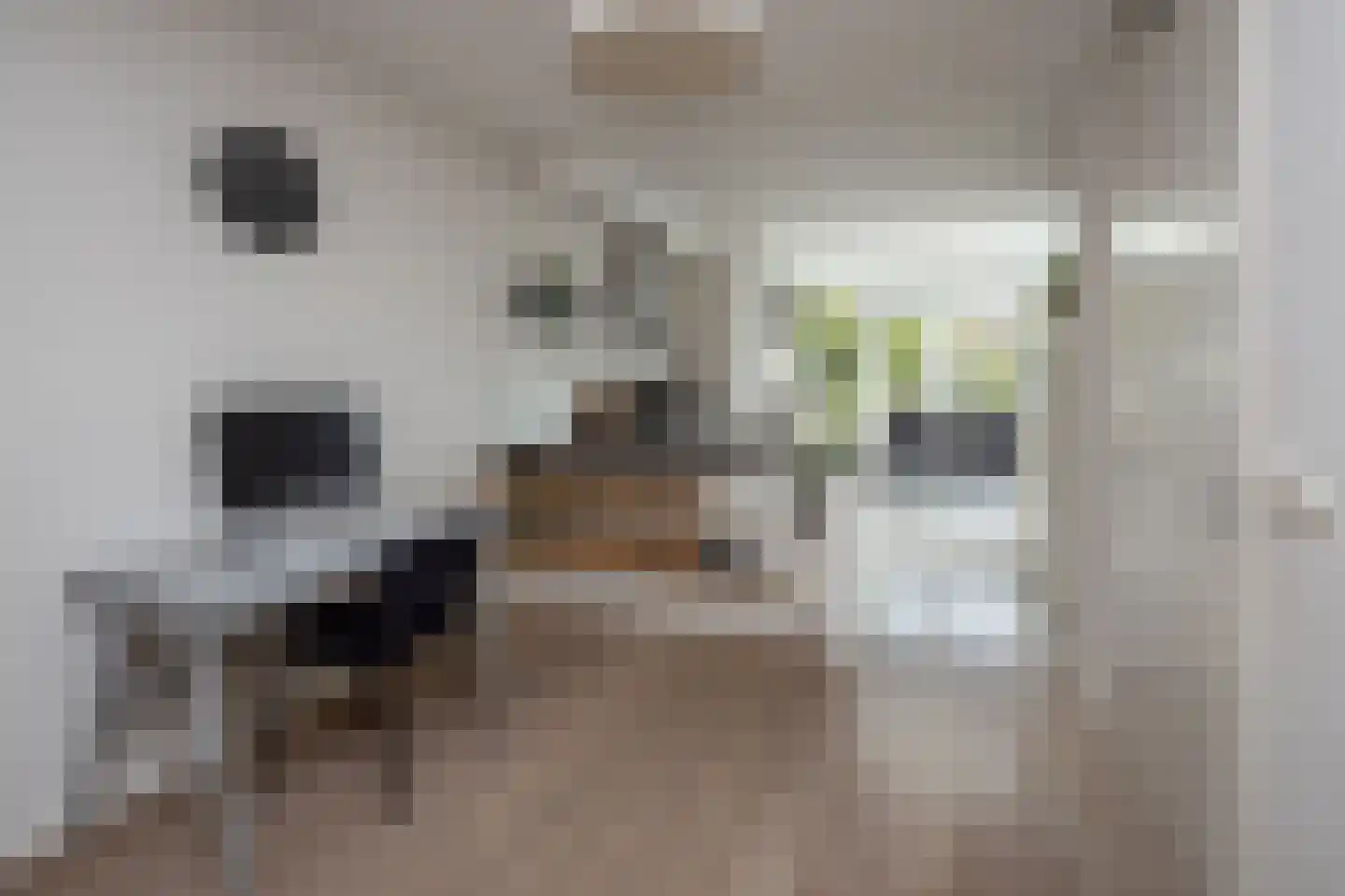 Witte Dam 65 Westwoud thumbnail 10