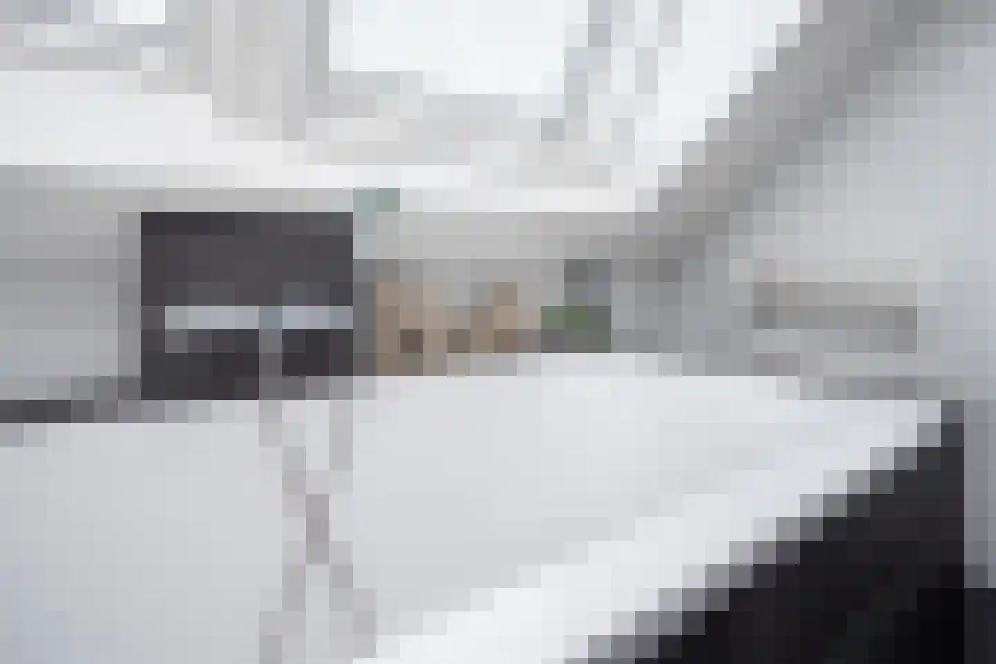 Witte Dam 65 Westwoud thumbnail 21