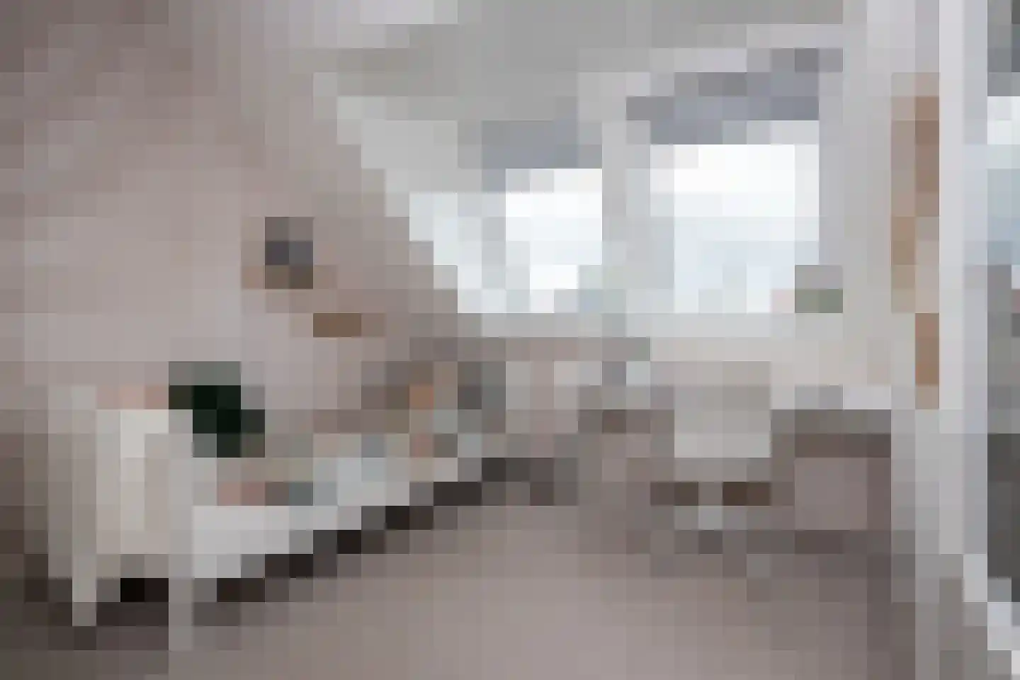 Witte Dam 65 Westwoud thumbnail 28