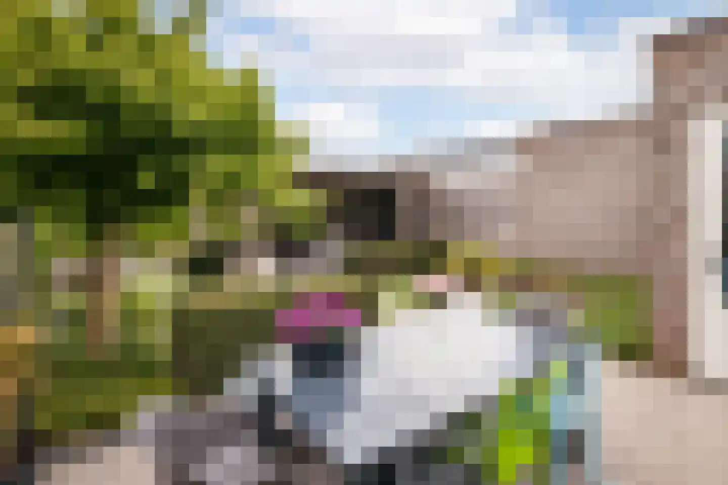 Witte Dam 65 Westwoud thumbnail 29