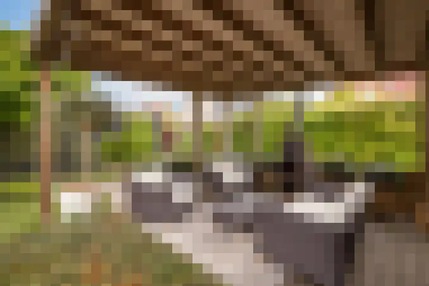 Witte Dam 65 Westwoud thumbnail 31