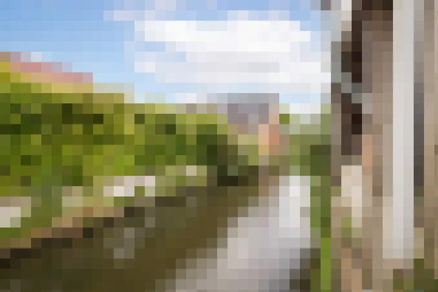 Witte Dam 65 Westwoud thumbnail 33