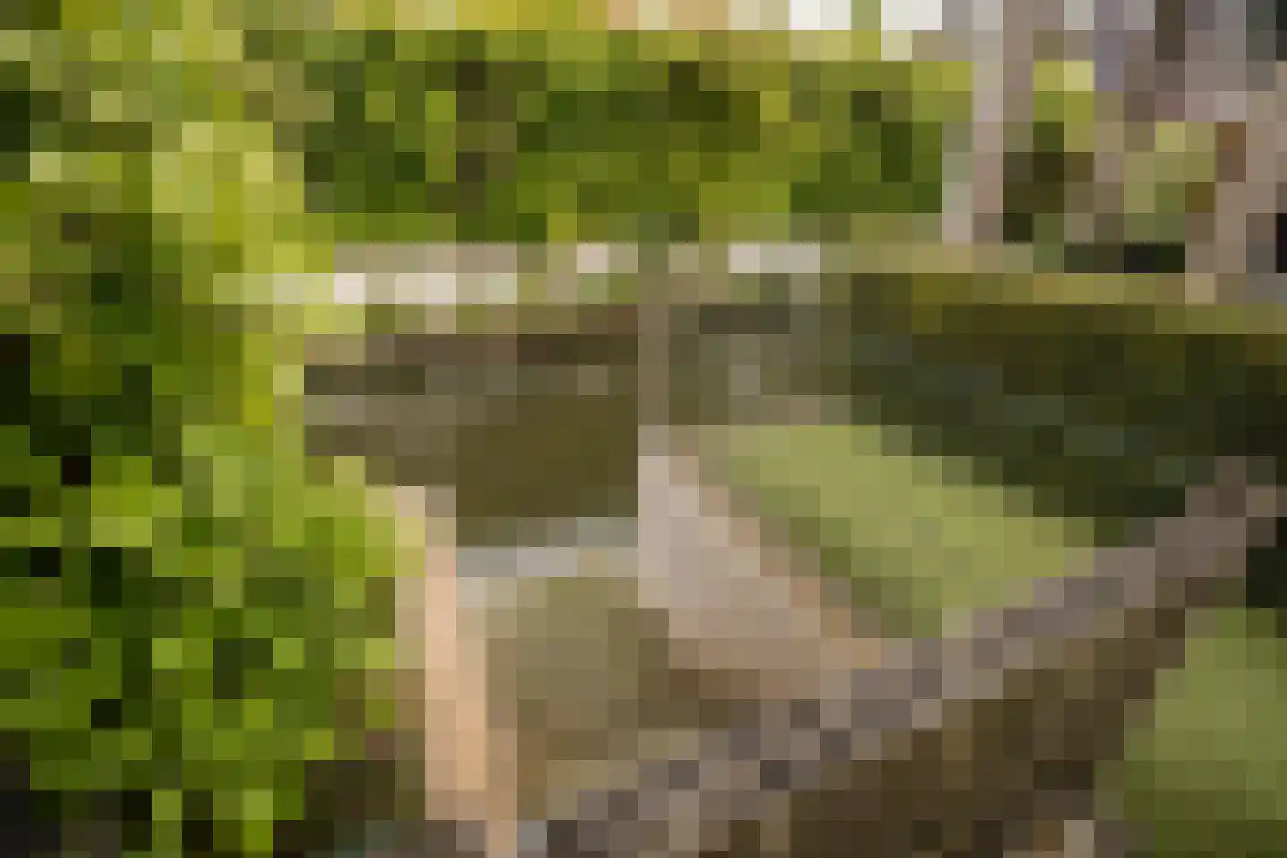 Witte Dam 65 Westwoud thumbnail 34