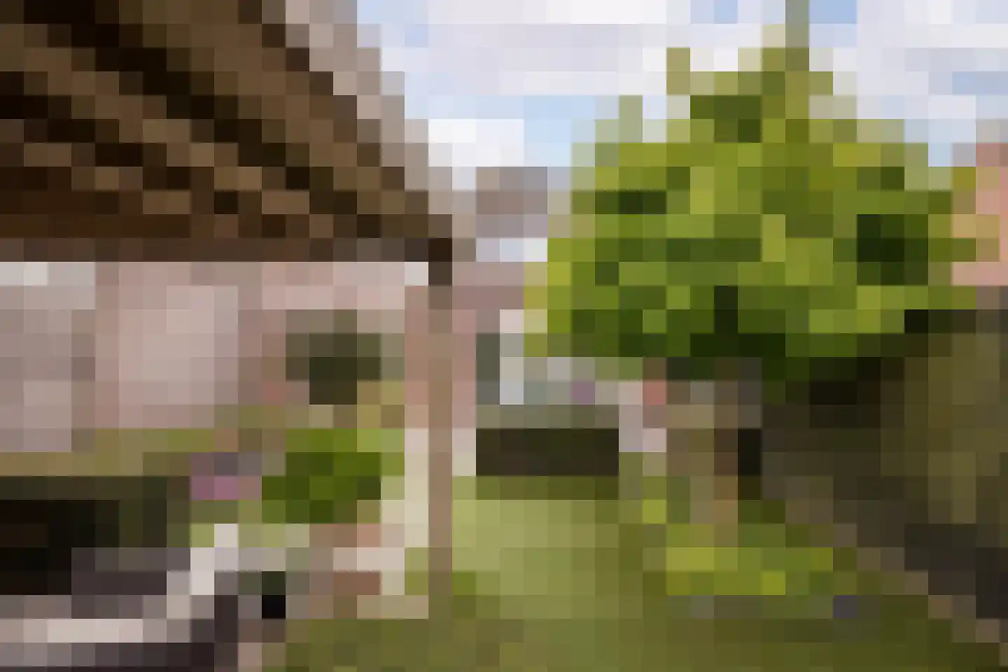Witte Dam 65 Westwoud thumbnail 35