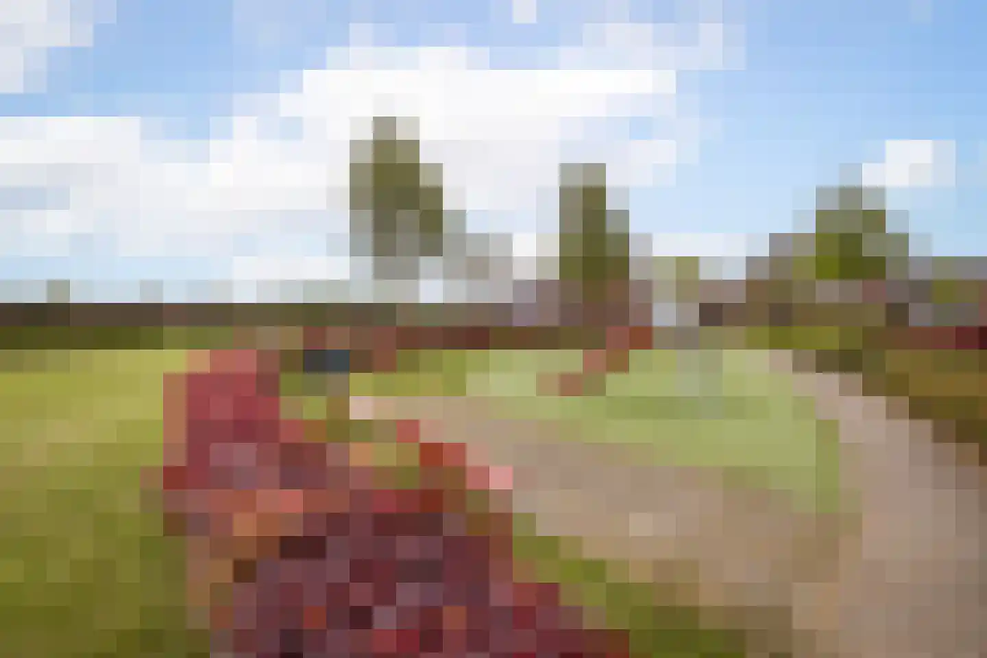 Witte Dam 65 Westwoud thumbnail 40