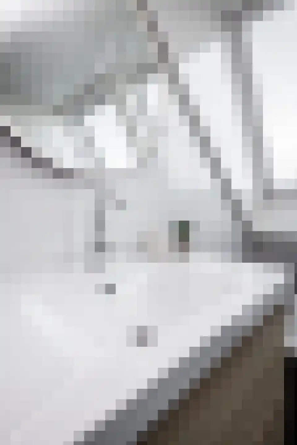 Witte Dam 65 Westwoud thumbnail 50