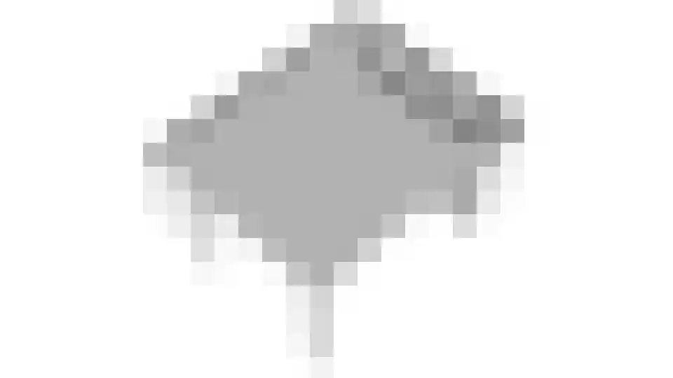 Witte Dam 65 Westwoud thumbnail 59