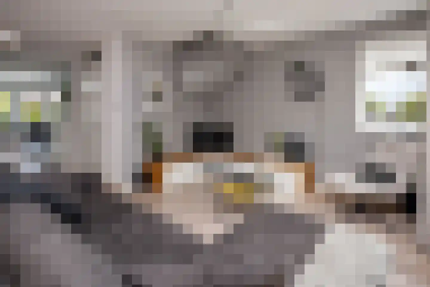 Witte Dam 65 Westwoud thumbnail 8