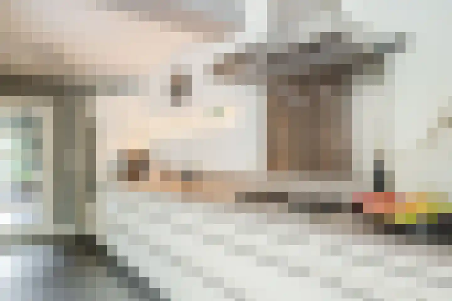 Witte de Withlaan 10 Doorn thumbnail 10