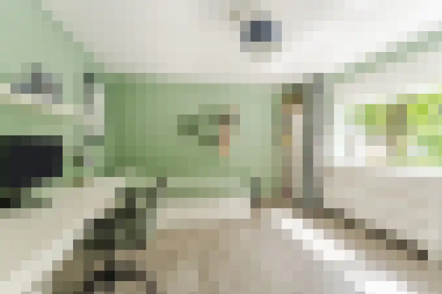 Witte de Withlaan 10 Doorn thumbnail 14
