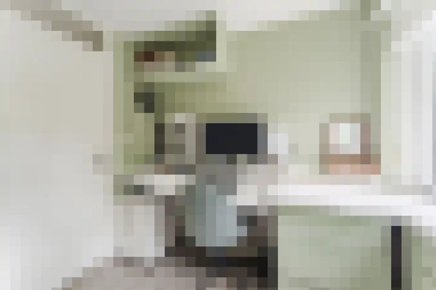 Witte de Withlaan 10 Doorn thumbnail 18