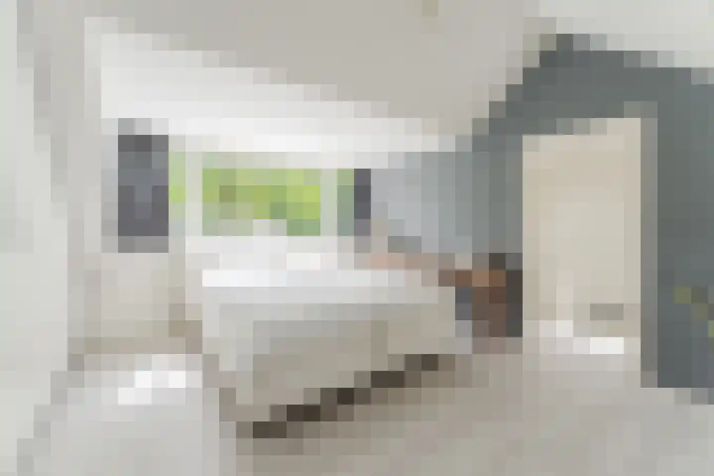 Witte de Withlaan 10 Doorn thumbnail 24