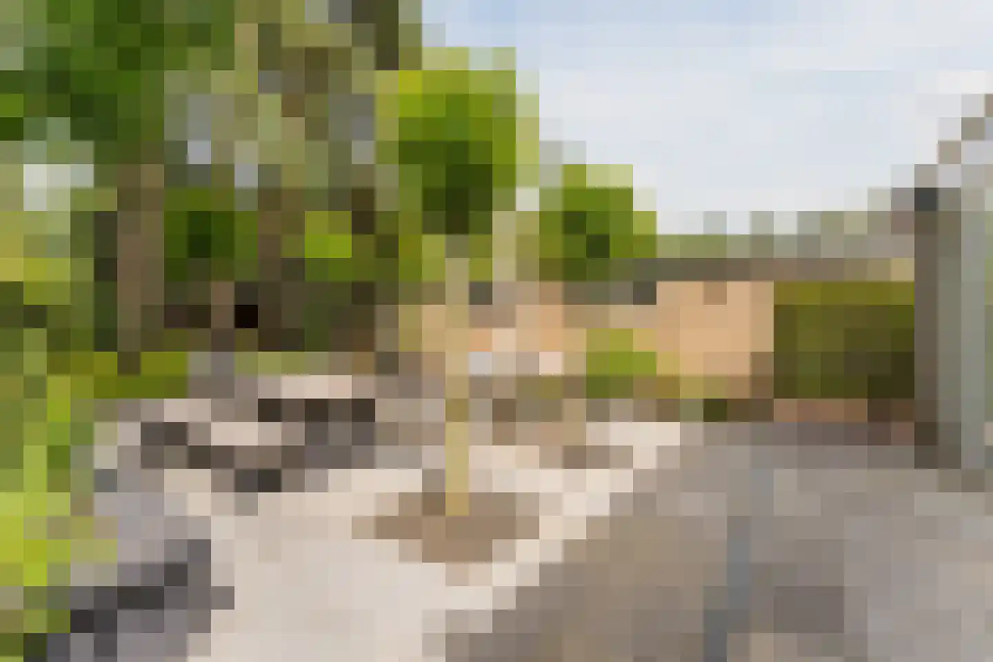 Witte de Withlaan 10 Doorn thumbnail 30