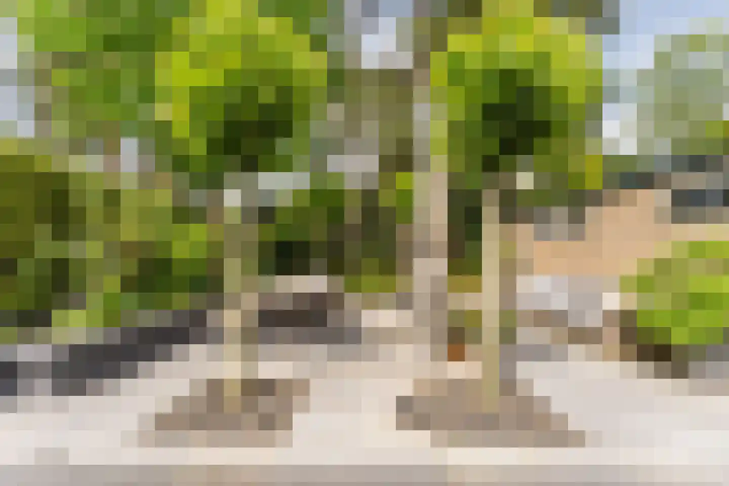 Witte de Withlaan 10 Doorn thumbnail 31