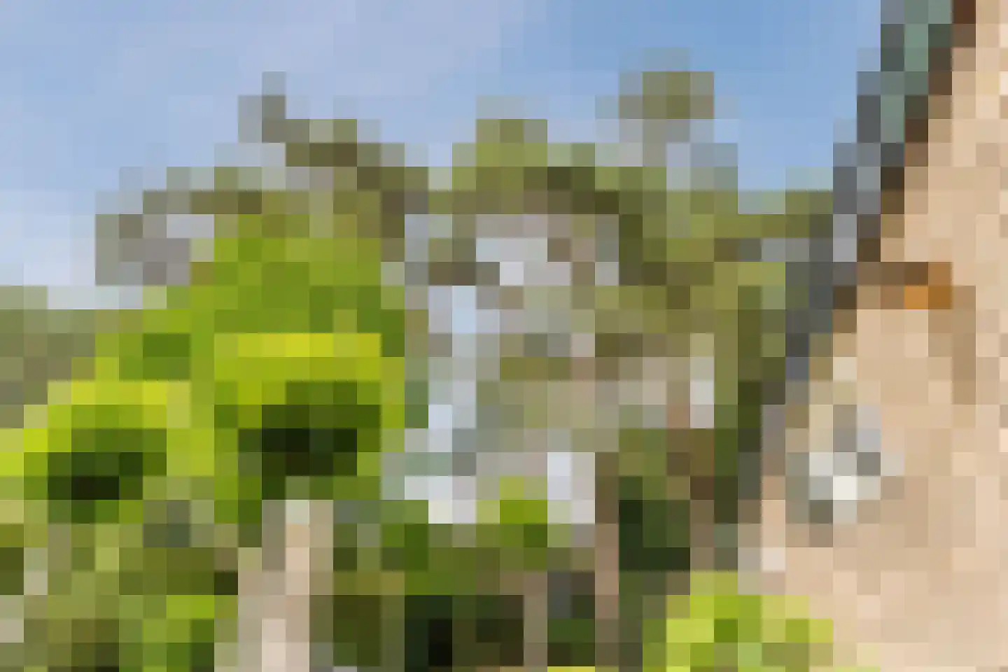 Witte de Withlaan 10 Doorn thumbnail 32