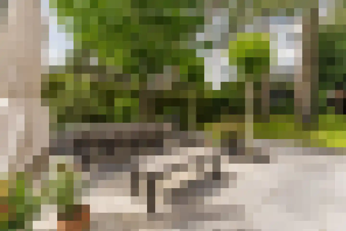 Witte de Withlaan 10 Doorn thumbnail 33