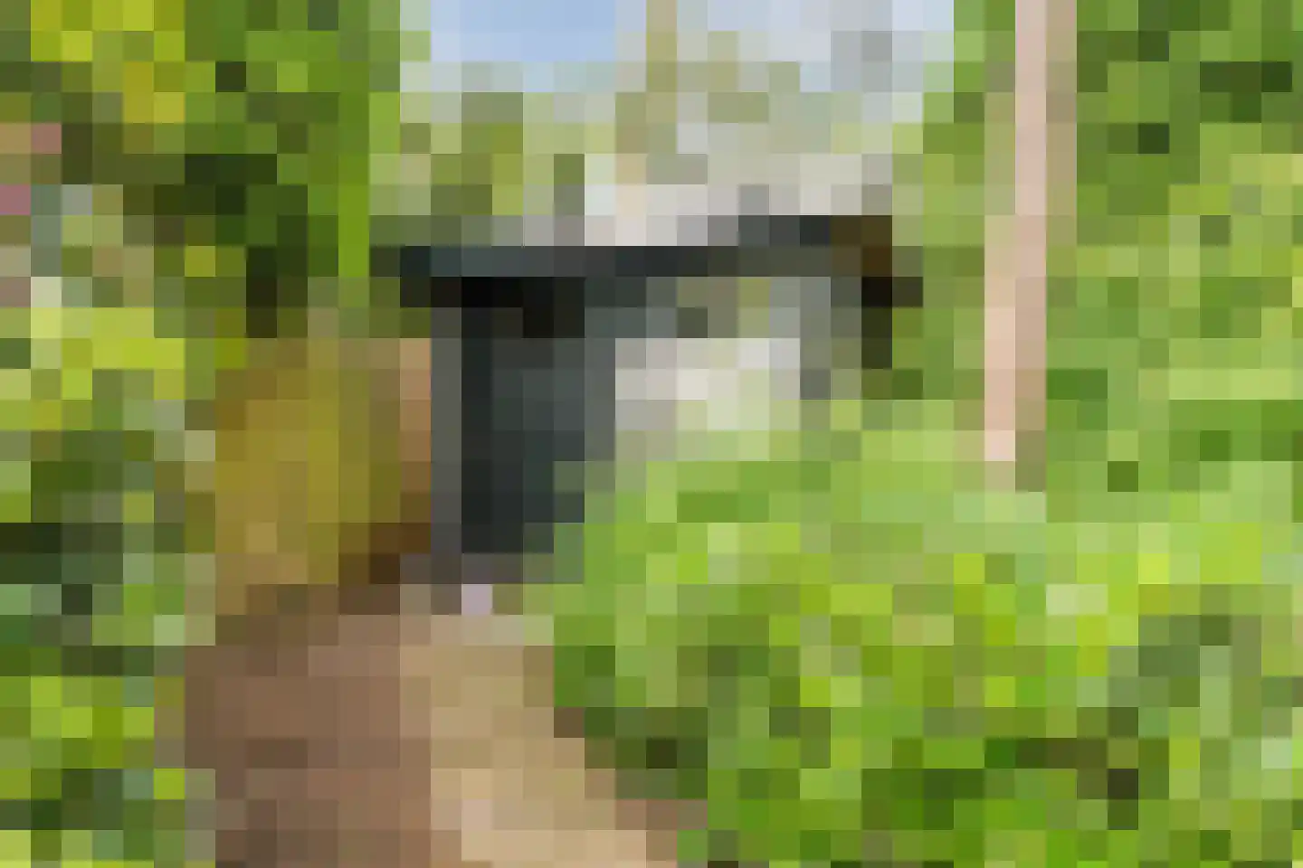 Witte de Withlaan 10 Doorn thumbnail 34