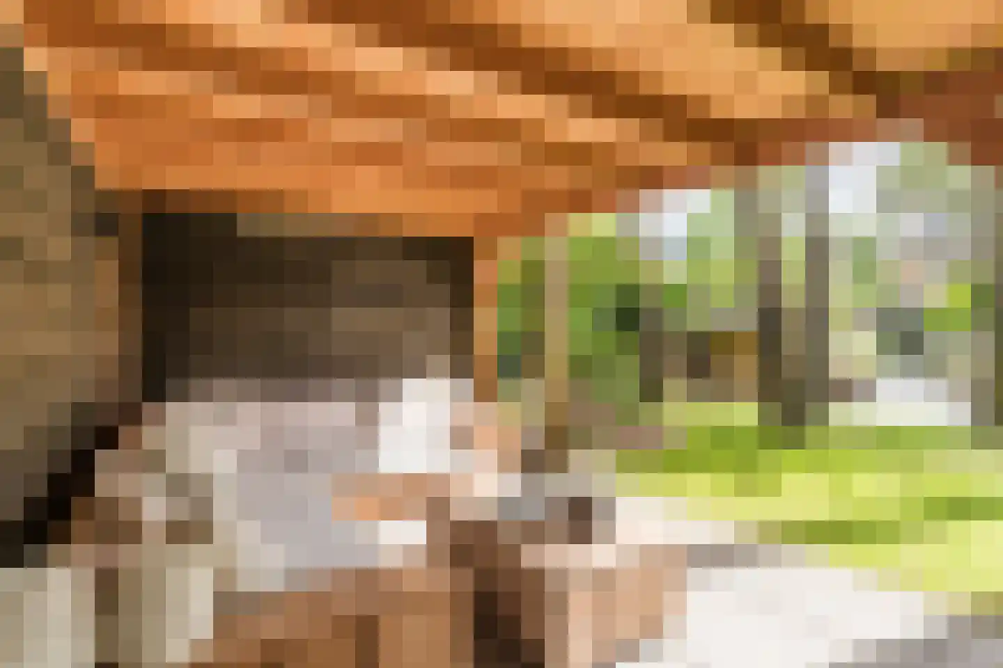 Witte de Withlaan 10 Doorn thumbnail 35