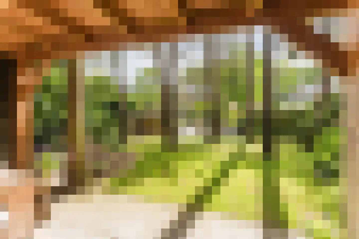 Witte de Withlaan 10 Doorn thumbnail 36