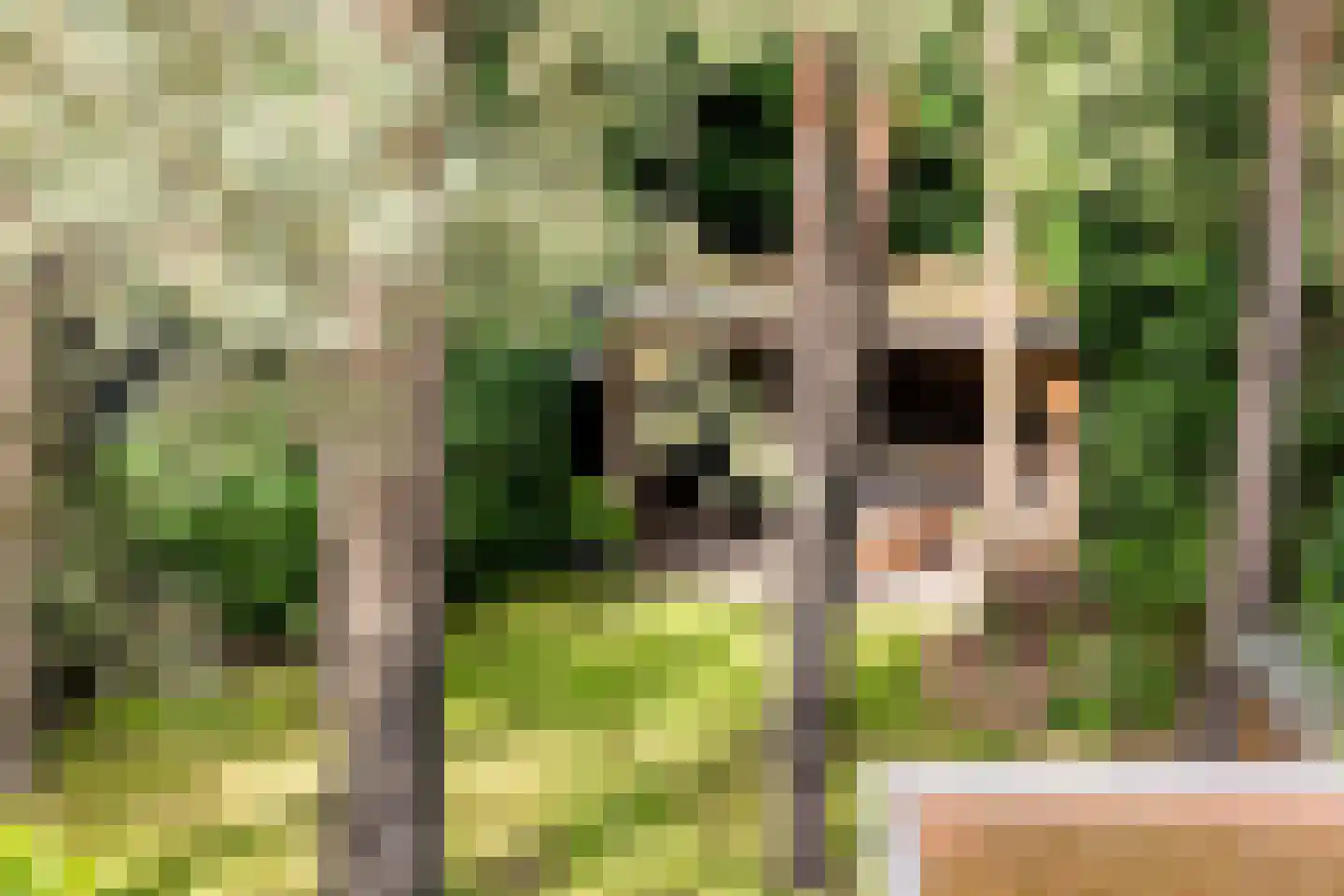 Witte de Withlaan 10 Doorn thumbnail 37