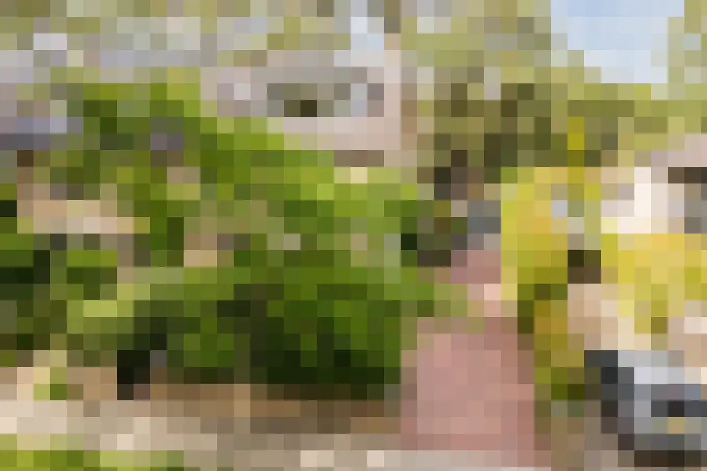Witte de Withlaan 10 Doorn thumbnail 38