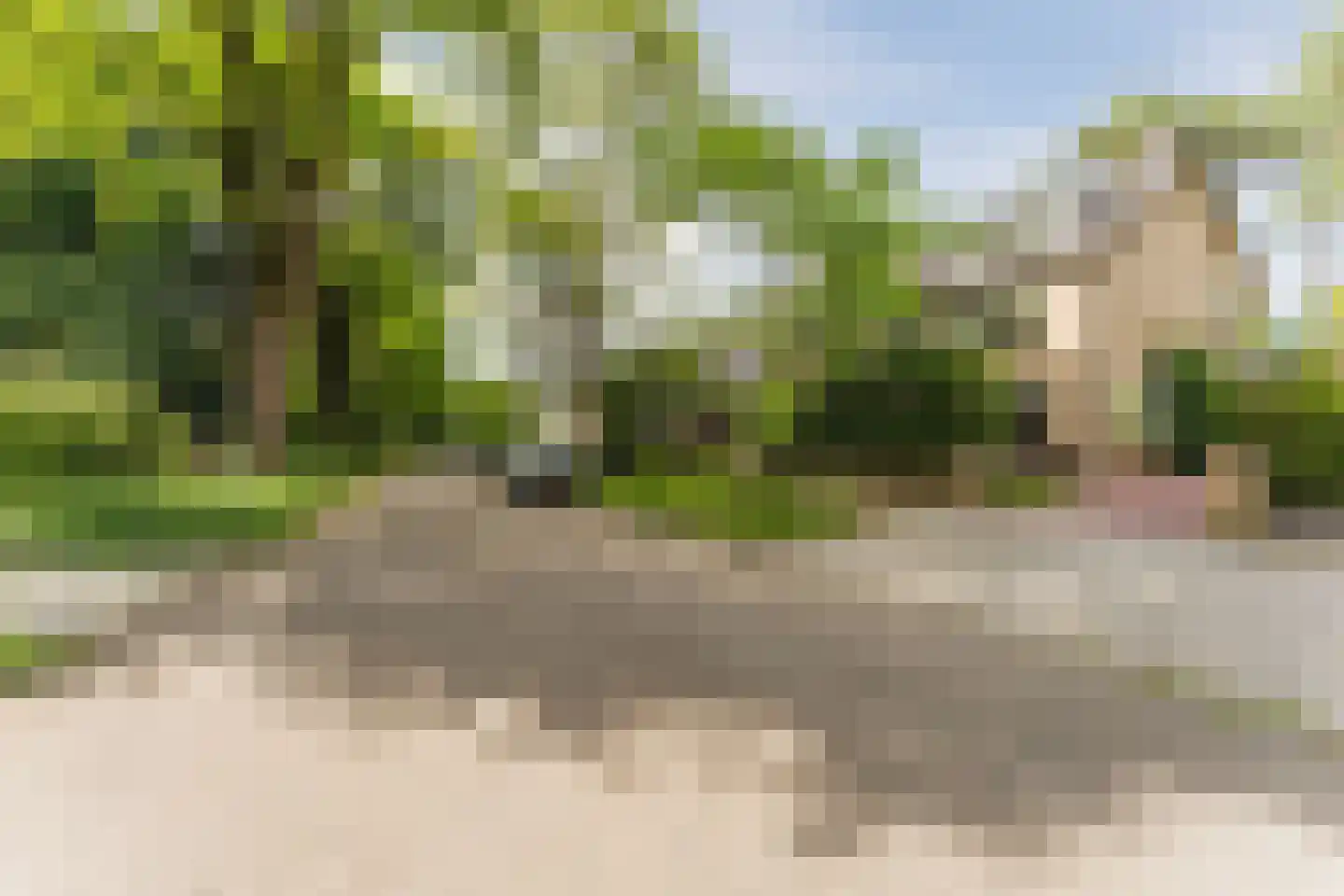 Witte de Withlaan 10 Doorn thumbnail 39