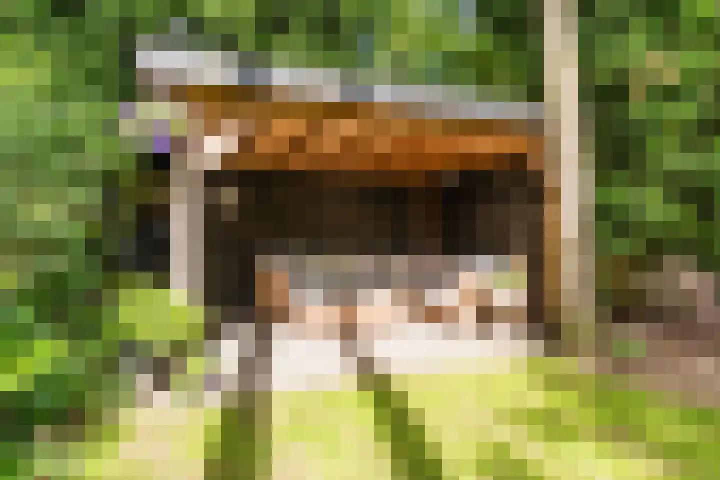 Witte de Withlaan 10 Doorn thumbnail 4
