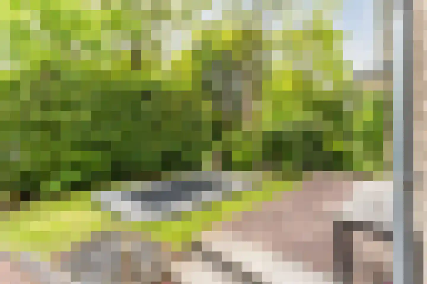 Witte de Withlaan 10 Doorn thumbnail 40