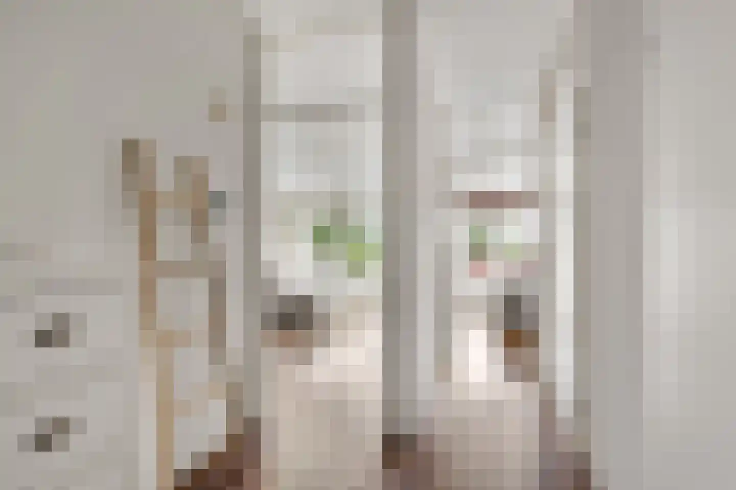Witte de Withlaan 10 Voorschoten thumbnail 14