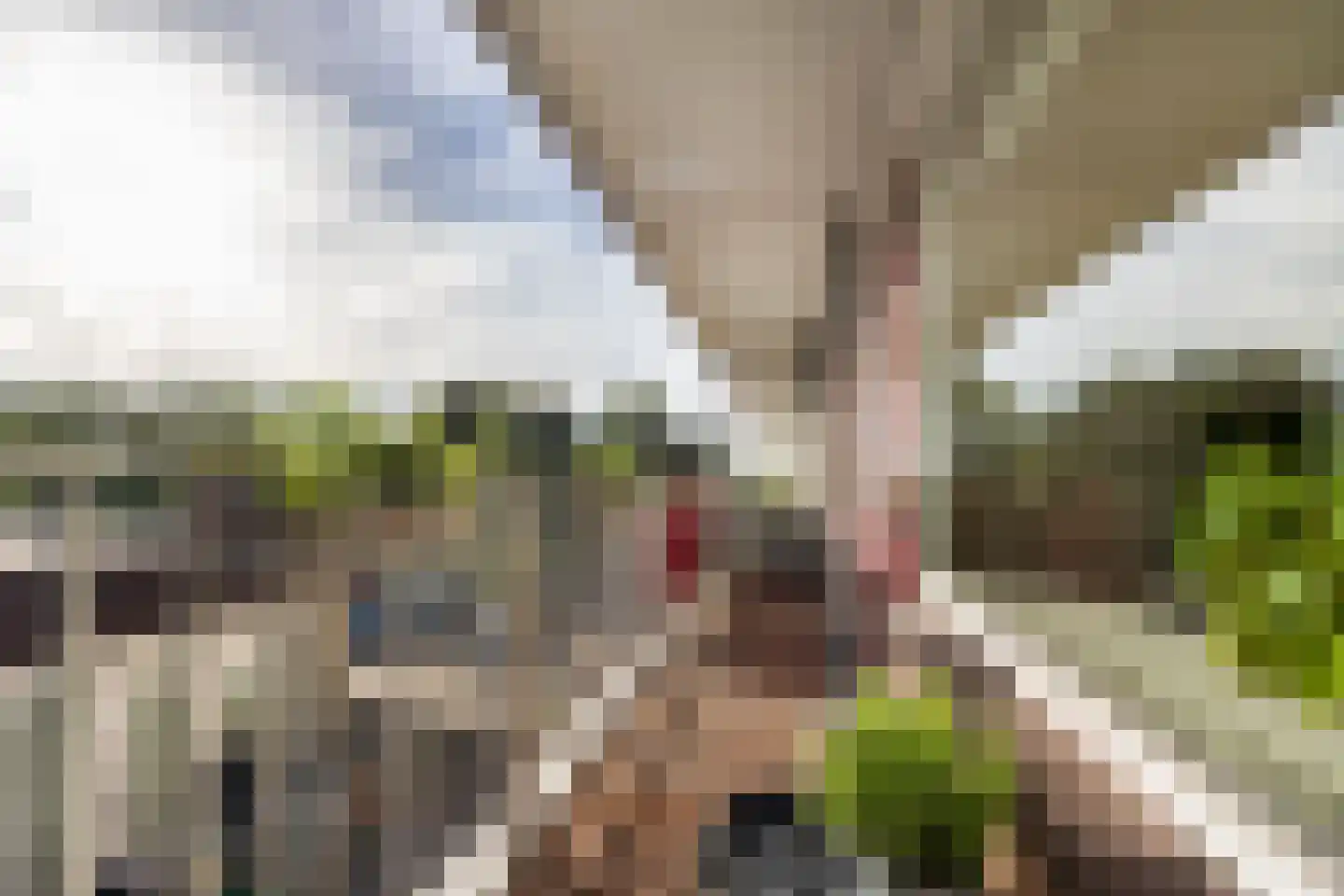 Witte de Withlaan 10 Voorschoten thumbnail 21