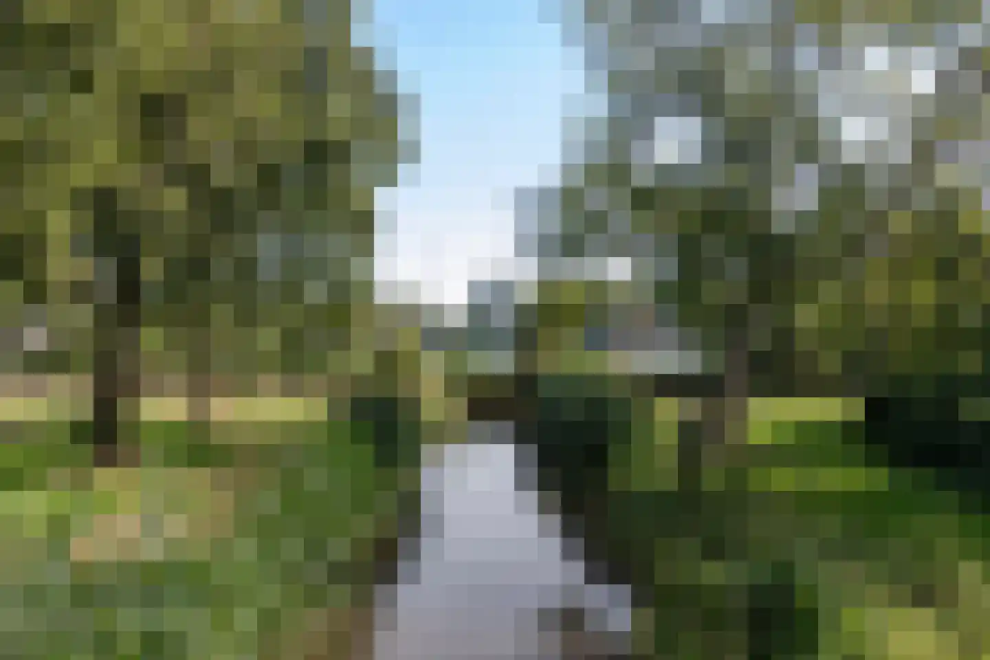 Witte de Withlaan 10 Voorschoten thumbnail 24