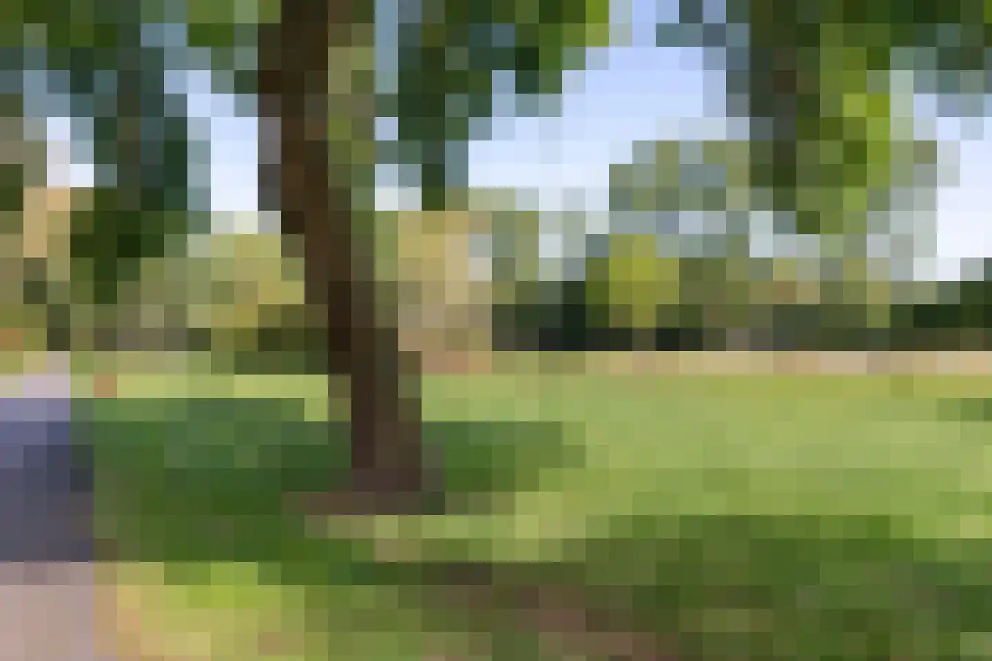 Witte de Withlaan 10 Voorschoten thumbnail 25