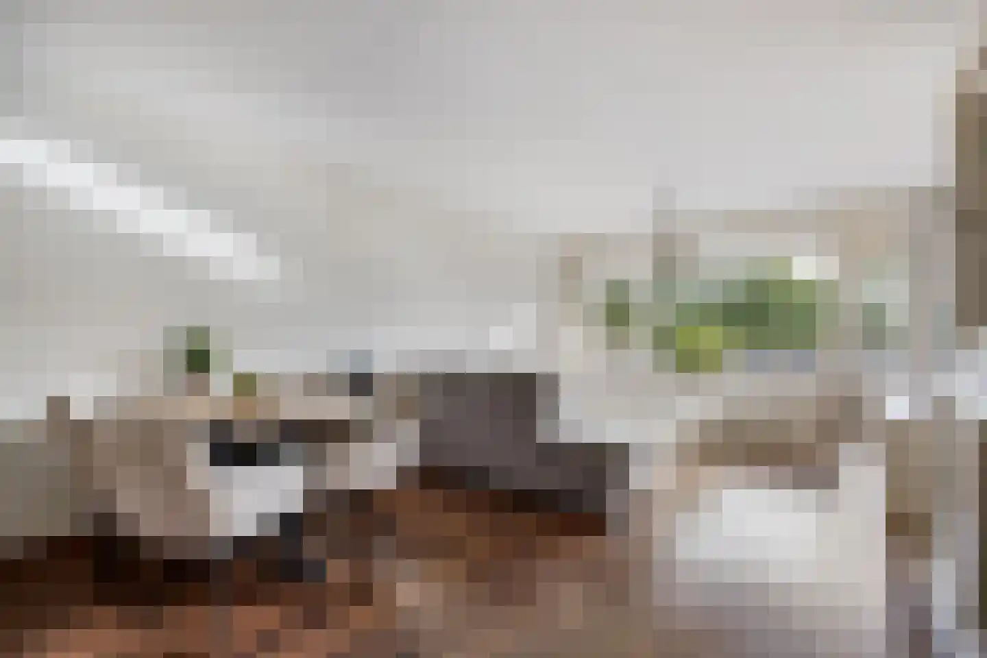 Witte de Withlaan 10 Voorschoten thumbnail 6