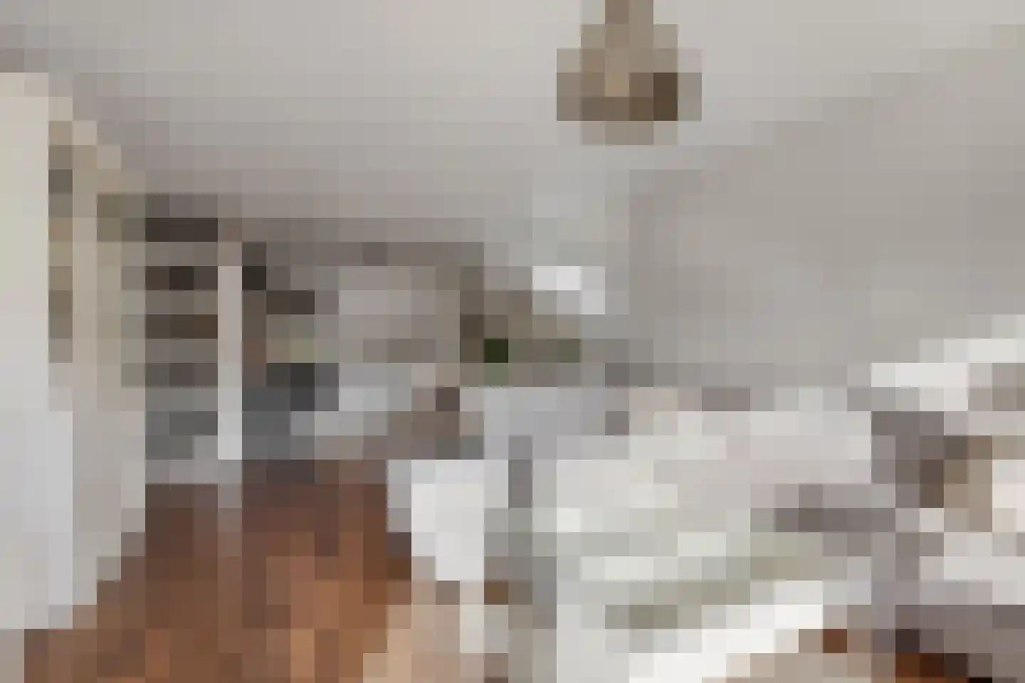 Witte de Withlaan 10 Voorschoten thumbnail 8