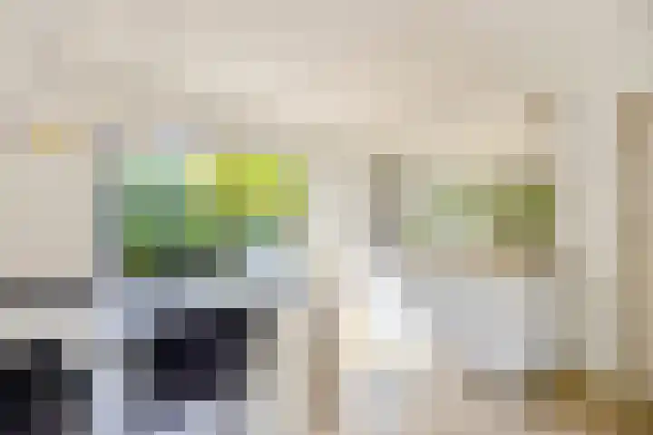 Witte de Withlaan 12 Bussum thumbnail 11