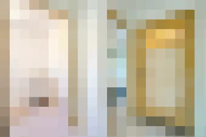 Witte de Withlaan 12 Bussum thumbnail 15