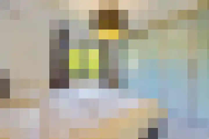 Witte de Withlaan 12 Bussum thumbnail 17