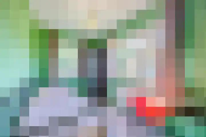 Witte de Withlaan 12 Bussum thumbnail 18