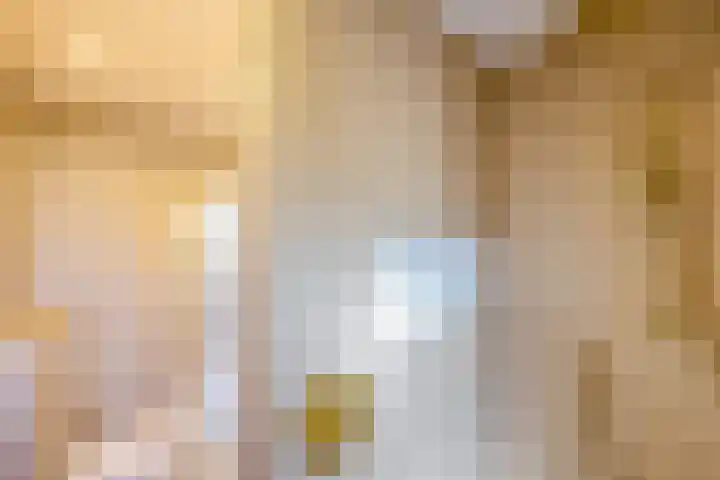 Witte de Withlaan 12 Bussum thumbnail 23