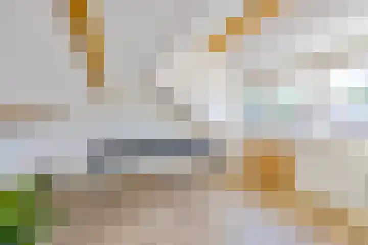 Witte de Withlaan 12 Bussum thumbnail 26