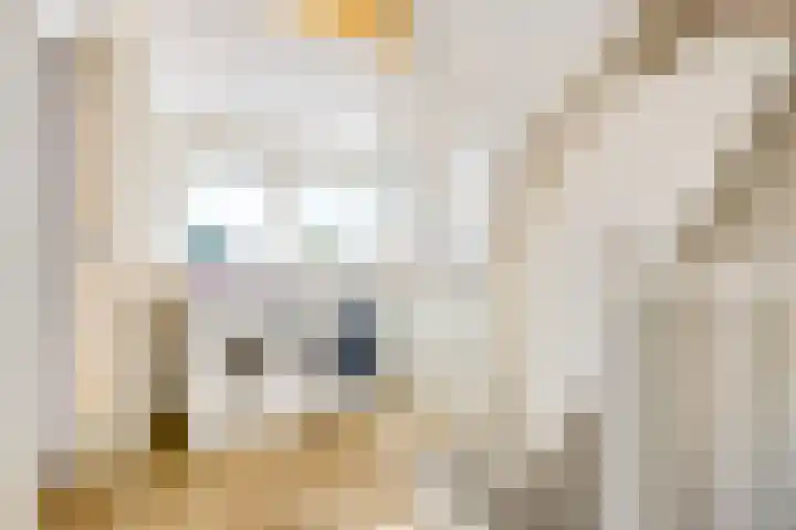 Witte de Withlaan 12 Bussum thumbnail 27