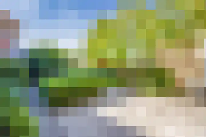 Witte de Withlaan 12 Bussum thumbnail 28