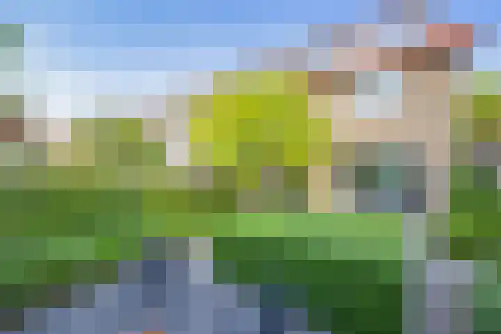 Witte de Withlaan 12 Bussum thumbnail 29