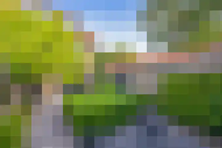 Witte de Withlaan 12 Bussum thumbnail 30