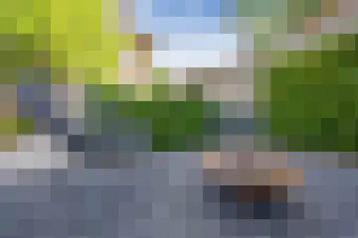 Witte de Withlaan 12 Bussum thumbnail 31