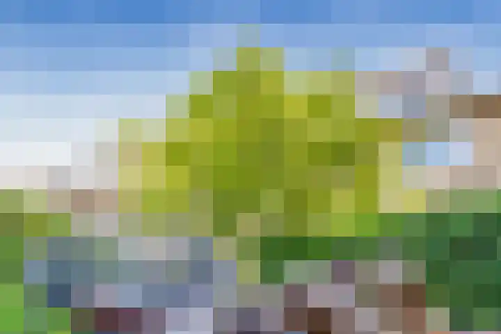 Witte de Withlaan 12 Bussum thumbnail 32