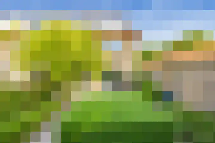 Witte de Withlaan 12 Bussum thumbnail 33