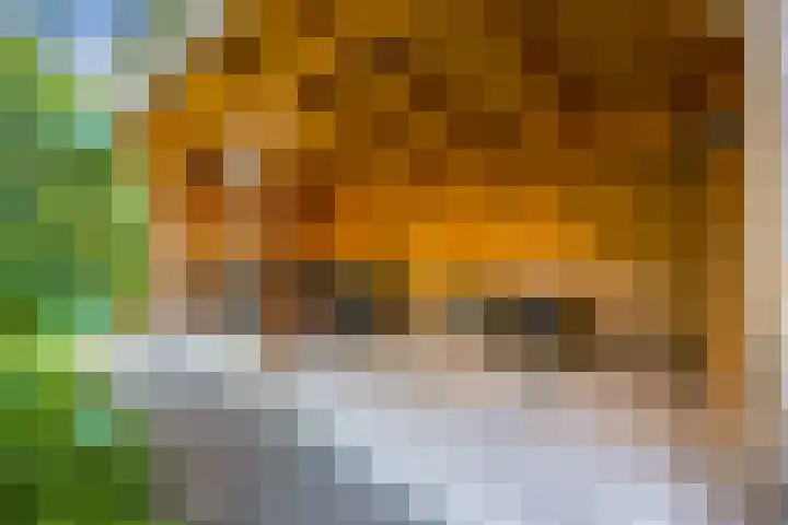Witte de Withlaan 12 Bussum thumbnail 34